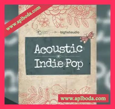 [流行乡村素材音源]Big Fish Audio Acoustic Indie Pop [多格式][KONTAKT]（12.2Gb）