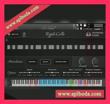[大提琴音源]Ben Osterhouse Ripple Cello v1.2.0 [KONTAKT]（317Mb）