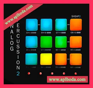 [电子乐模拟打击素材Ableton扩展]ShamanStems Analog Percussion 2 [WAV, MiDi]（348Mb）