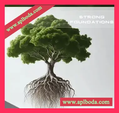 [Studio Electronics SE-3X预置电子乐]Soundsdivine Strong Foundations（3.65Mb）
