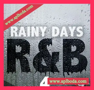 [RnB采样]Big Citi Loops Rainy Days RnB 4 [WAV]（56Mb）