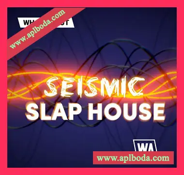 [浩室素材Spire预置Sylenth1预置]WA Production Seismic Slap House [WAV, MiDi, Synth Presets]（427Mb）
