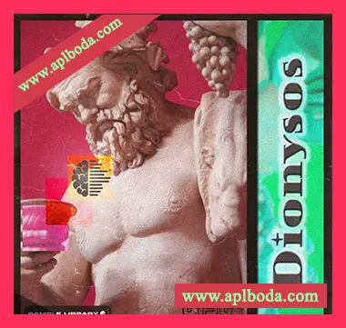 [嘻哈说唱采样]CD.mp3 Dionysos (Sample Library) [WAV]（1.45Gb）