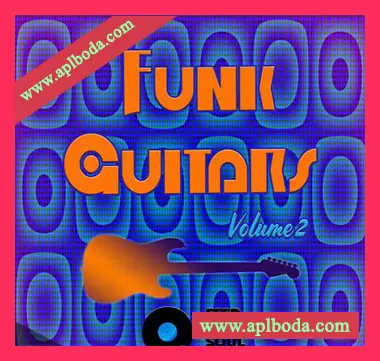 [放克吉他采样]Feed Your Soul Music Funk Guitars Volume 2 [WAV]（216Mb）