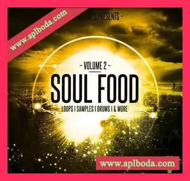 [灵魂流行RnB采样]King Loops Soul Food Vol.2 [WAV]（249Mb）