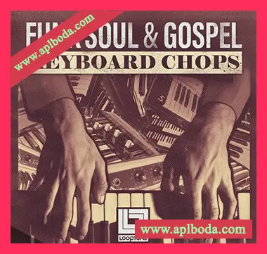 [放克RnB福音乐钢琴切片采样]Looptone Funk, Soul and Gospel Keyboard Chops [WAV]（815Mb）
