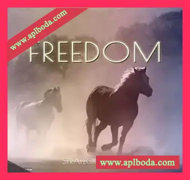 [嘻哈陷阱素材]Strategic Audio Freedom [WAV, MiDi]（125Mb）