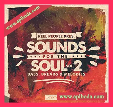 [灵魂氛围慢摇放克素材]Loopmasters Reel People Sounds For The Soul Vol.2 [多格式]（1.01Gb）