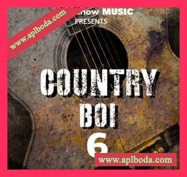 [乡村民谣采样]Innovative Samples COUNTRY BOI 6 [WAV]（46Mb）