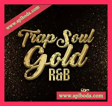 [灵魂RnB采样]Big Citi Loops Trapsoul Gold RnB [WAV]（198Mb）