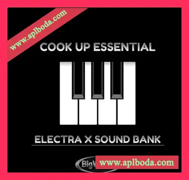 [Electra预置氛围嘻哈陷阱]BigWerks Cook Up Essentials（2Mb）