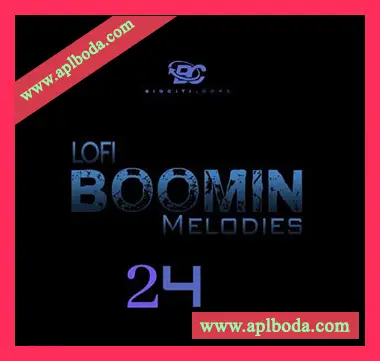 [低保真RnB陷阱采样]Big Citi Loops Lofi Boomin Melodies 24 [WAV]（47Mb）