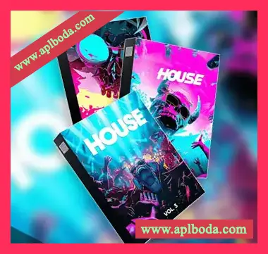 [浩室MiDi素材Serum预置]Loopsy HOUSE Bundle + HOUSE Vol.3（96Mb）