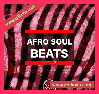 [非洲节奏采样]Samples Choice Afro Soul Beats Vol 2 [WAV]（189Mb）