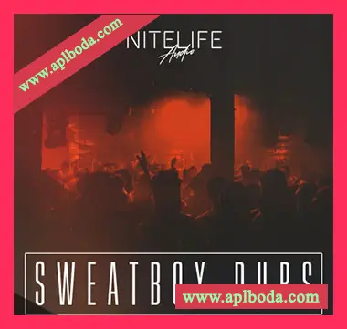 [科技浩室采样]NITELIFE Audio Sweatbox Dubs [WAV]（333Mb）