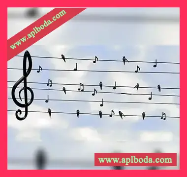 [教程]Udemy Singing For Kids（112Mb）