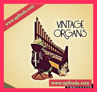 [嘻哈说唱采样]5DOLLAKITS Vintage Organs [WAV]（78Mb）