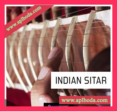 [民族印度西塔尔素材]Pulsed Records World Series Indian Sitar [WAV, MiDi]（821Mb）