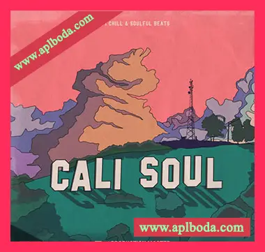 [低保真舒缓灵魂嘻哈采样]Production Master Cali Soul Lofi Chill and Soulful Beats [WAV]（450Mb）