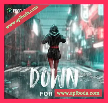 [嘻哈RnB素材Ableton扩展]Producer Loops Down For You [多格式]（4.41Gb）