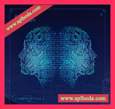 [人工智能对话FX采样]Field and Foley Cybernetica [WAV]（139Mb）