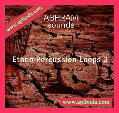 [民族打击乐采样]Riemann Kollektion ASHRAM Ethno Percussion Loops 3 [WAV]（108Mb）