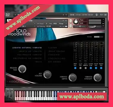 [双簧管独奏音源]Auddict Master Solo Woodwinds Oboe [KONTAKT]（4.26Gb）