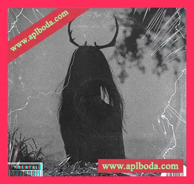 [灵魂RnB采样]Soul Chemist Dark Vintage Sample Pack Madame Blavatsky Dark [WAV]（60.57Mb）