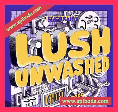 [嘻哈说唱和弦采样]Side Brain LUSH UNWASHED Chord Loops [WAV]（40Mb）