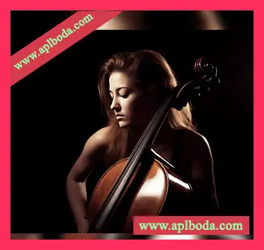 [独奏大提琴音源]8Dio Studio Quartet Series Deep Solo Cello [KONTAKT]（10Gb）