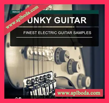 [流行放克吉他采样]Image Sounds Funky Guitar 06 [WAV]（4Mb）