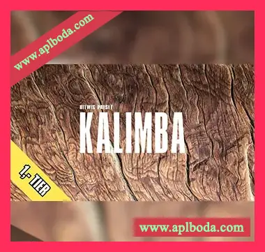 [Bitwig预置氛围驰放]Polarity Music Kalimba Tommelklaver（22Mb）