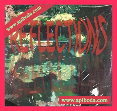 [嘻哈说唱采样]Future Samples Reflections [WAV]（184Mb）