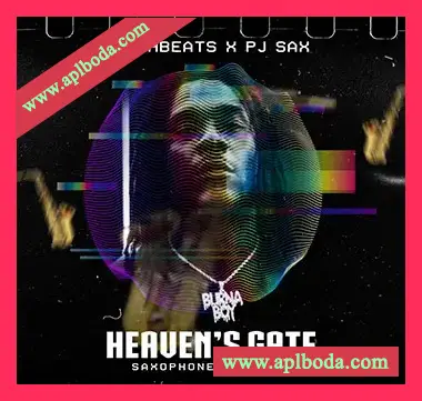 [灵魂RnB非洲节奏采样]Vesh Beats Heavens Gate Saxophone Loop Kit [PREMIUM] [WAV]（139Mb）