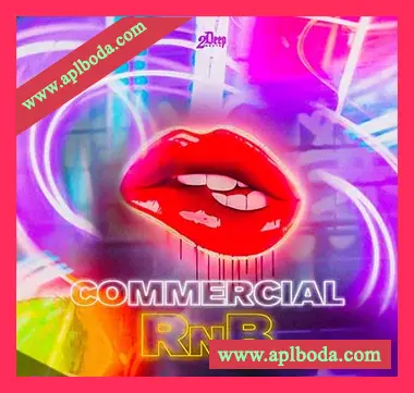 [RnB采样]2DEEP Commercial Rnb [WAV]（400Mb）