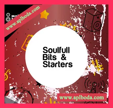 [灵魂RnB采样]Multiton Bits Soulful Bits and Starters [WAV]（445Mb）
