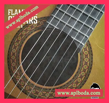 [弗拉门戈吉他采样]Vanilla Groove Studios Flamenco Guitars Vol.6 [WAV]（155Mb）
