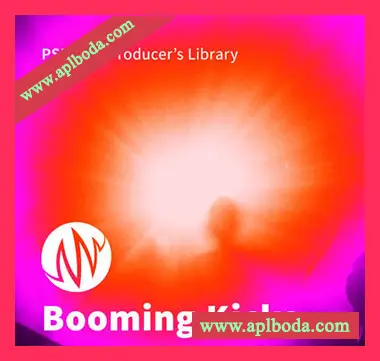 [Electronic电子乐底鼓采样]PSE The Producers Library Booming Kicks [WAV]（15Mb）