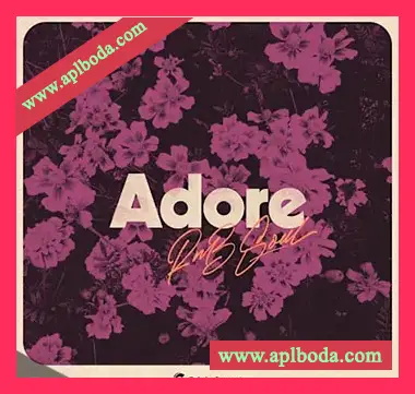 [灵魂RnB采样]Origin Sound adore. rnb soul [WAV]（938Mb）