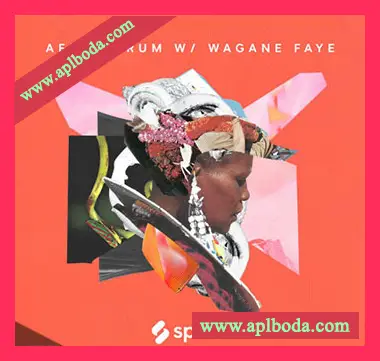 [民族风格素材]Splice Sessions Senegalese Serum with Wagane Faye [WAV, MiDi]（284Mb）