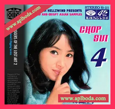 [怀旧乐采样]Boom Bap Labs Amen Chop Sui Vol 4 [WAV]（154Mb）