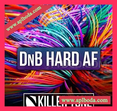 [鼓打贝斯回响重拍素材]Killer Tone DnB Hard AF [多格式]（265Mb）