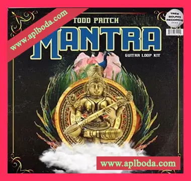[嘻哈说唱灵魂RnB吉他采样]Todd Pritch Mantra Guitar Loop Kit [WAV]（476Mb）