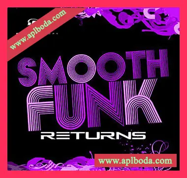 [爵士放克福音乐采样]Big Citi Loops Smooth Funk Returns [WAV]（111Mb）