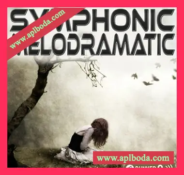 [影视管弦乐素材]Bunker 8 Digital Labs Symphonic Melodramatic [多格式]（3.02Gb）