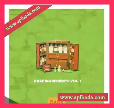 [色彩打击乐采样]RARE Percussion Rare Ingredients [WAV]（283Mb）