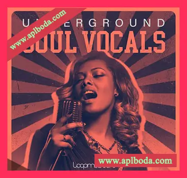 [灵魂RnB慢摇浩室人声采样]Loopmasters Underground Soul Vocals [WAV]（791Mb）