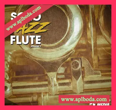 [爵士长笛采样]New Beard Media Solo Jazz Flute Vol 1 [WAV]（11Mb）