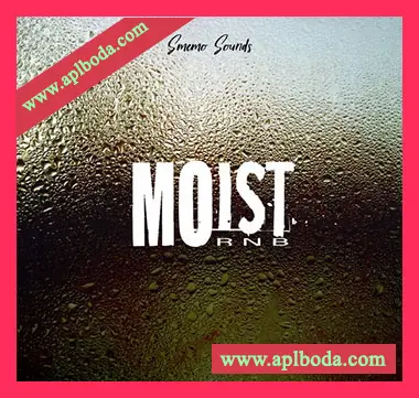 [RnB采样]Smemo Sounds MOIST RNB [WAV]（69Mb）