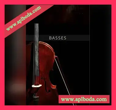 [欧洲弦乐Bass]Auddict United Strings of Europe Basses [KONTAKT]（2.81Gb）
